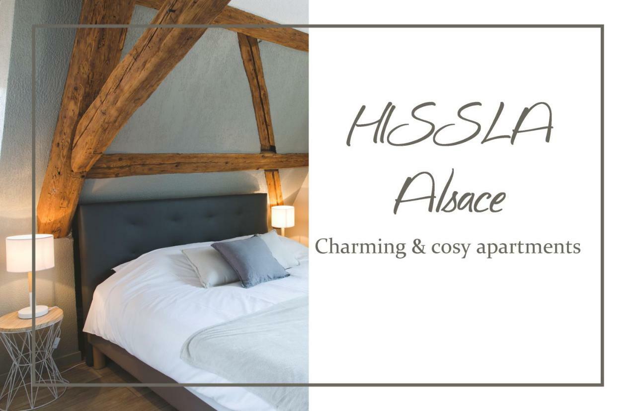 Hissla Alsace Chic& Cosy Barr Wine Route Villa Exterior photo
